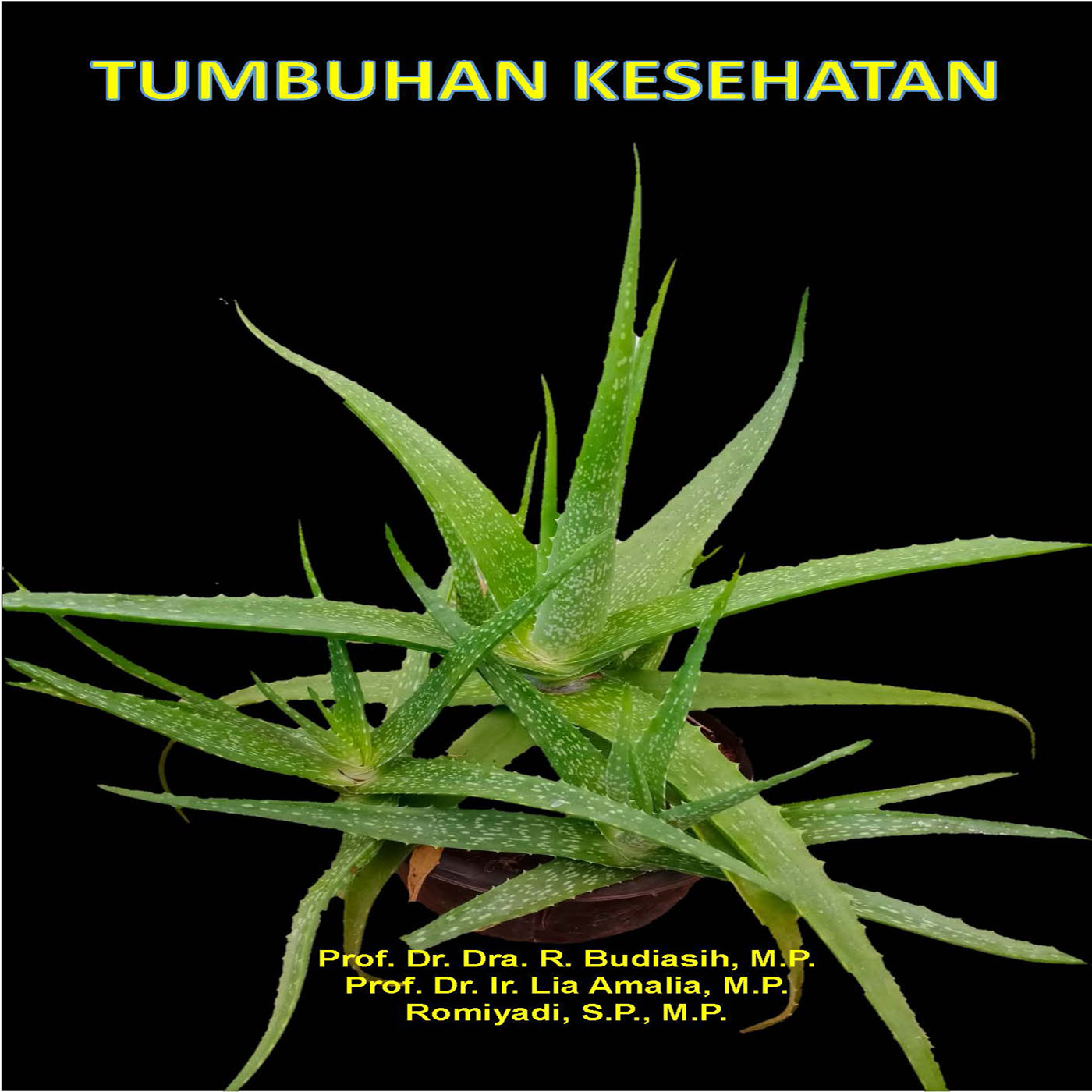 Gambar Jurnal 1